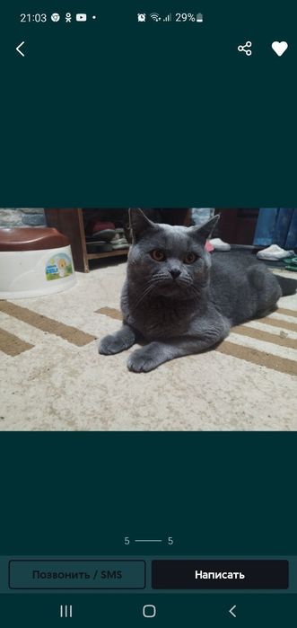 Yoshlar bilan jinsiy aloqa keksalik videolari