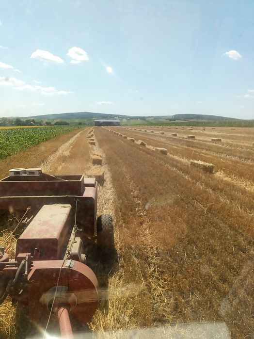 Baloti paie 2000 buc ,  8 lei buc ,, făn  20 lei buc ,lucerna 20 lei