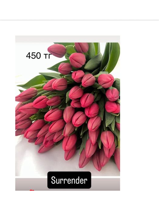 Тюльпаны оптом к 8 марта