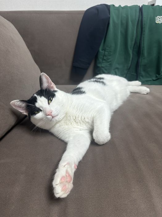 Забери меня с собой, я хороший