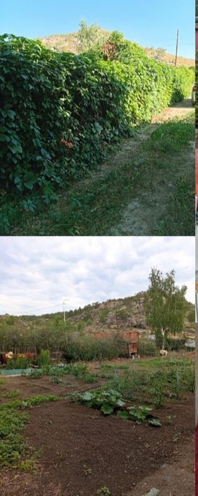 Продажа дачи в Новой Бухтарме