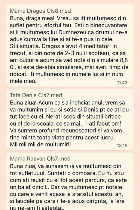 Meditatii pe vara: matematica/romana/engleza