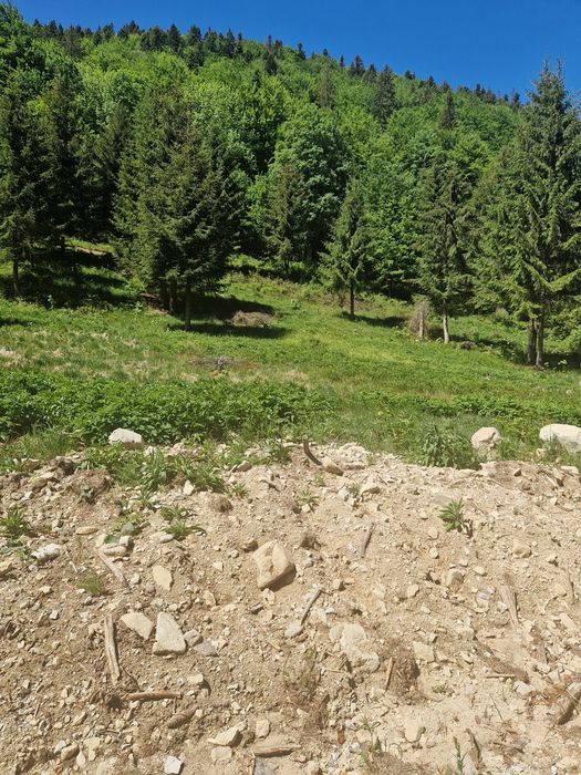 Vând teren în zona de munte