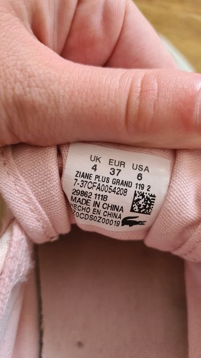 Lacoste Ziane Plus Grand Tenesi 37