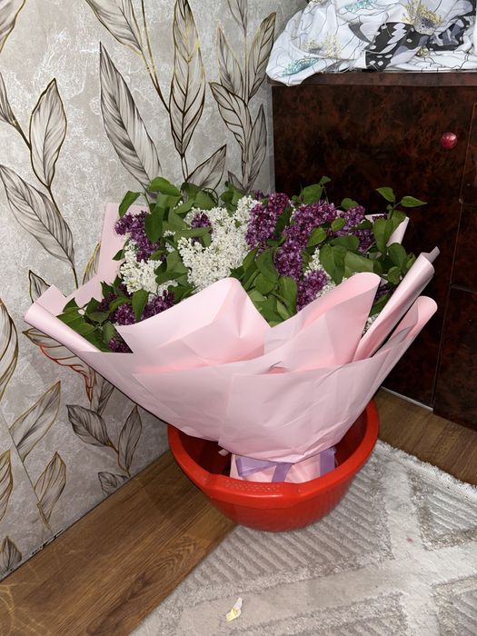 Сирень свежий улкен