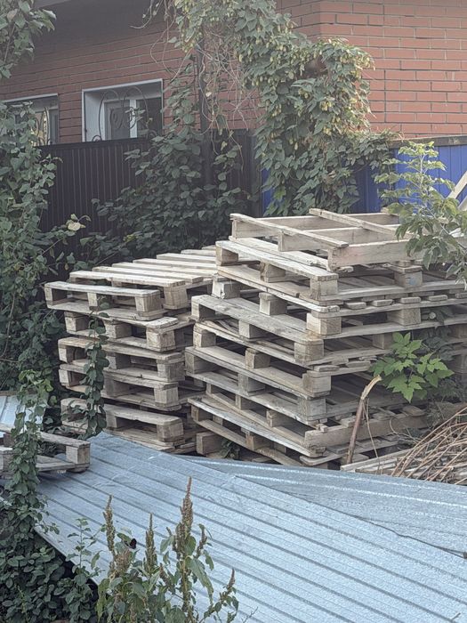 Поддон  продам много самовывоз срочно , район парк Кирова