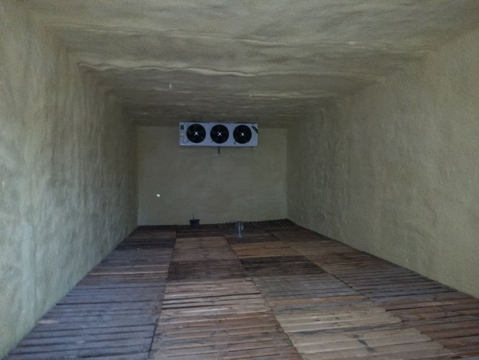 Кичкина Халоделди