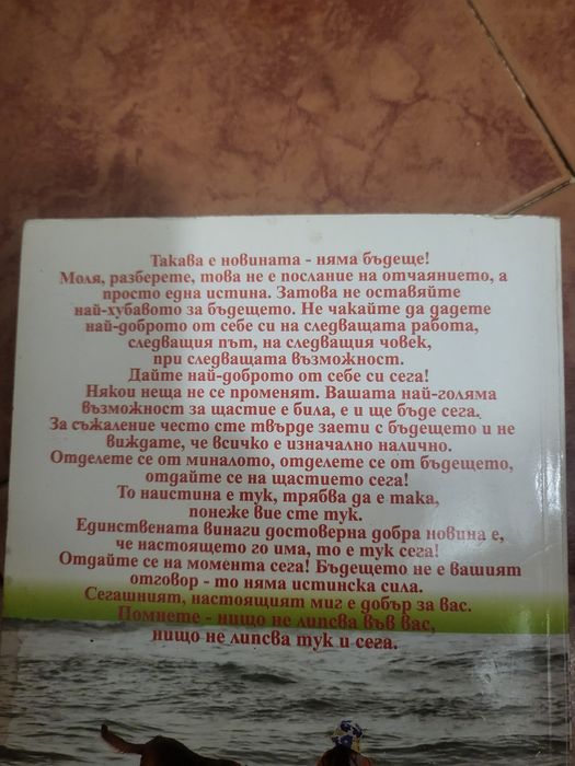 Живей за мига - Робърт Холдън