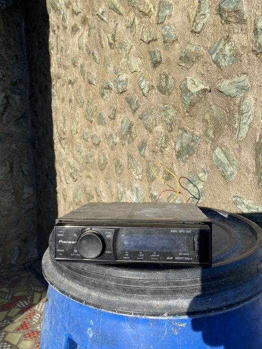 Pioneer пионер дельфин