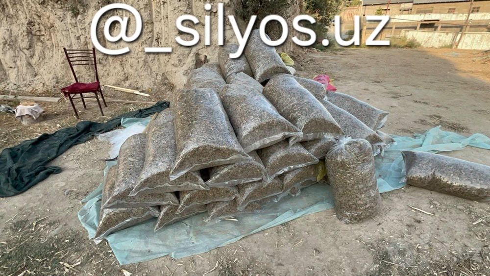 Silos optom narxlarda
