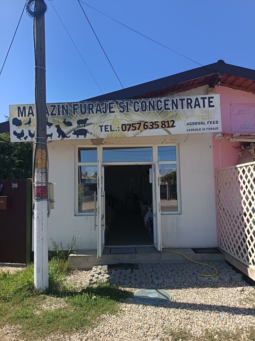 Afacere la cheie -Magazin furaje și cereale pentru animale