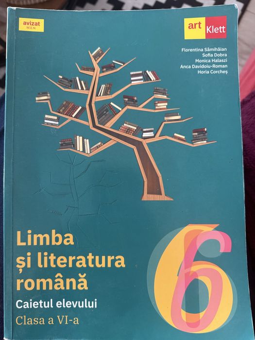 Manuale de matematica si romana pentru clasa 6a