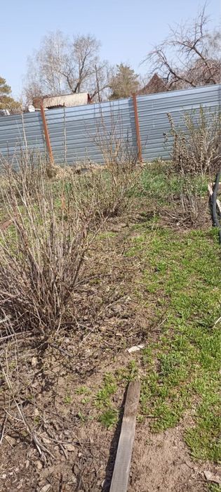 Продам дачу в Цветущем саду