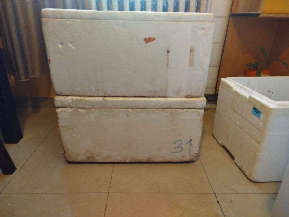 Cutii polistiren termoizolante, frigorifice