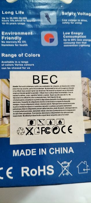 Bec economic inteligent