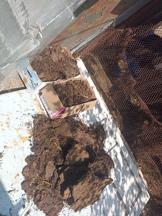 Продам навоз овечий.