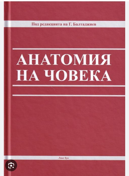 Учебник по Анатомия