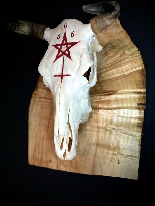 Череп ръчно изработен