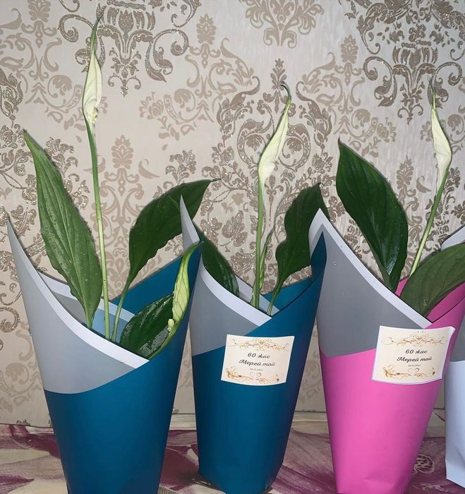 Цветы для Тойбастар/ Женское счастье