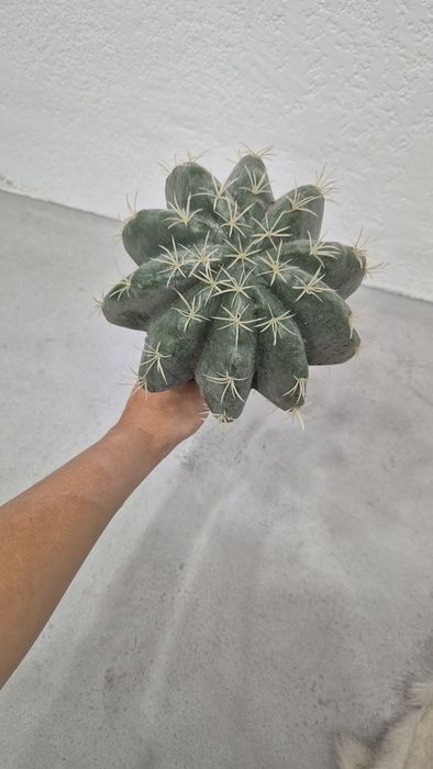 Искусственные цветы. Кактусы