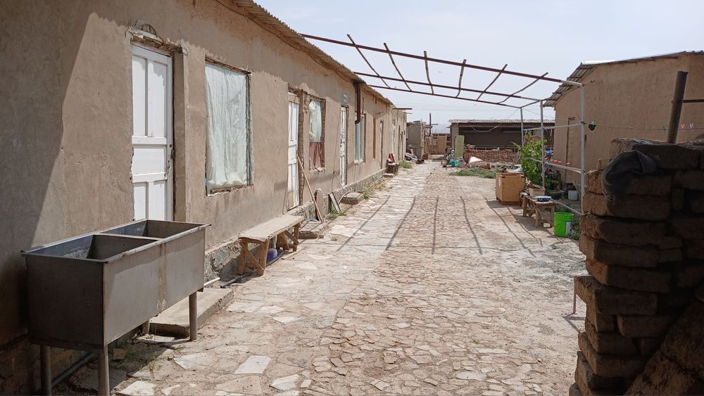 Срочно продается База в Тинчлике