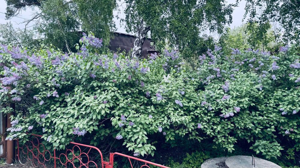 Продается отдельно стоящий дом