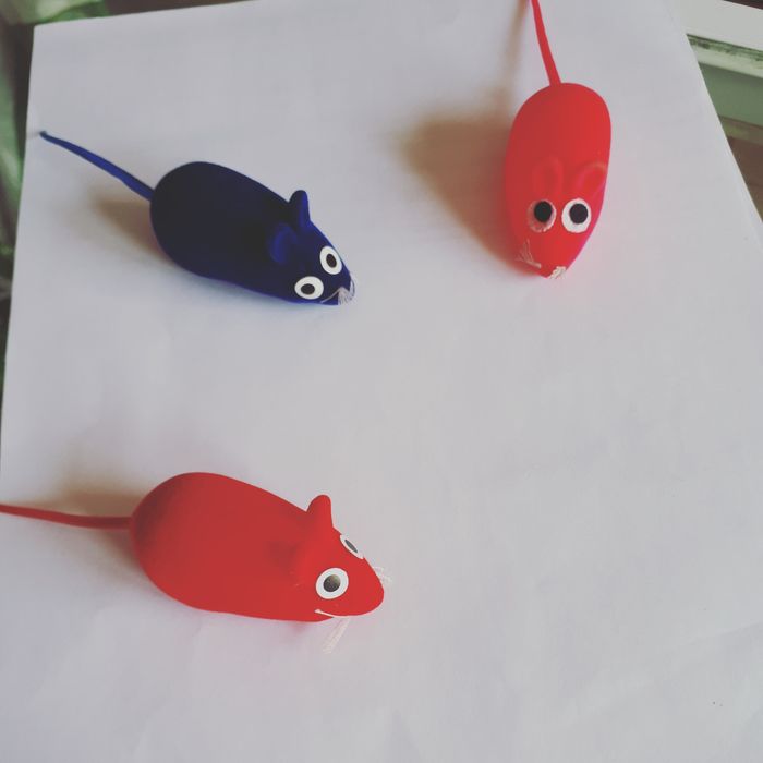 Зоотовары Doctor Vet