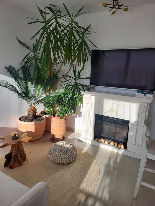 PF vând apartament 2camere zona Jisk