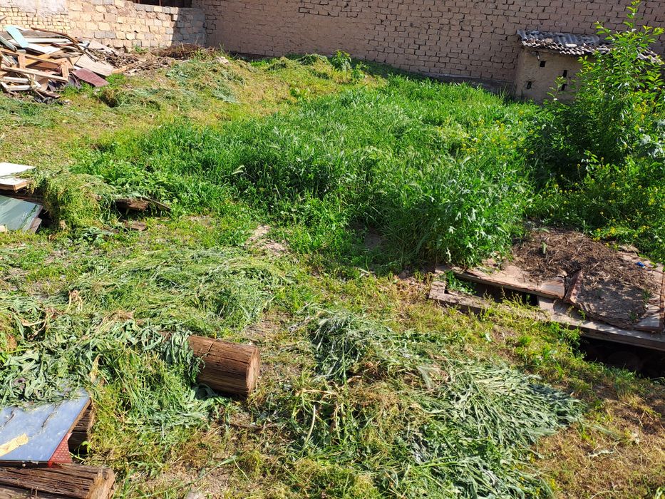 O'tlar, mollar va qo'ylar uchun