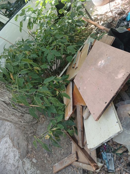 Утин бор. Есть дрова рамы, двери..