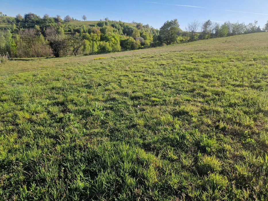 Teren intravilan in Sinteu Valea Tarnei