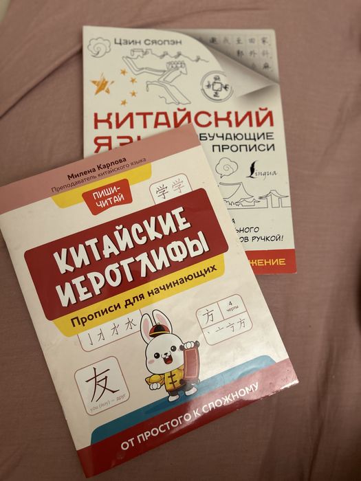 Прописи китайских иероглифов 2 штуки