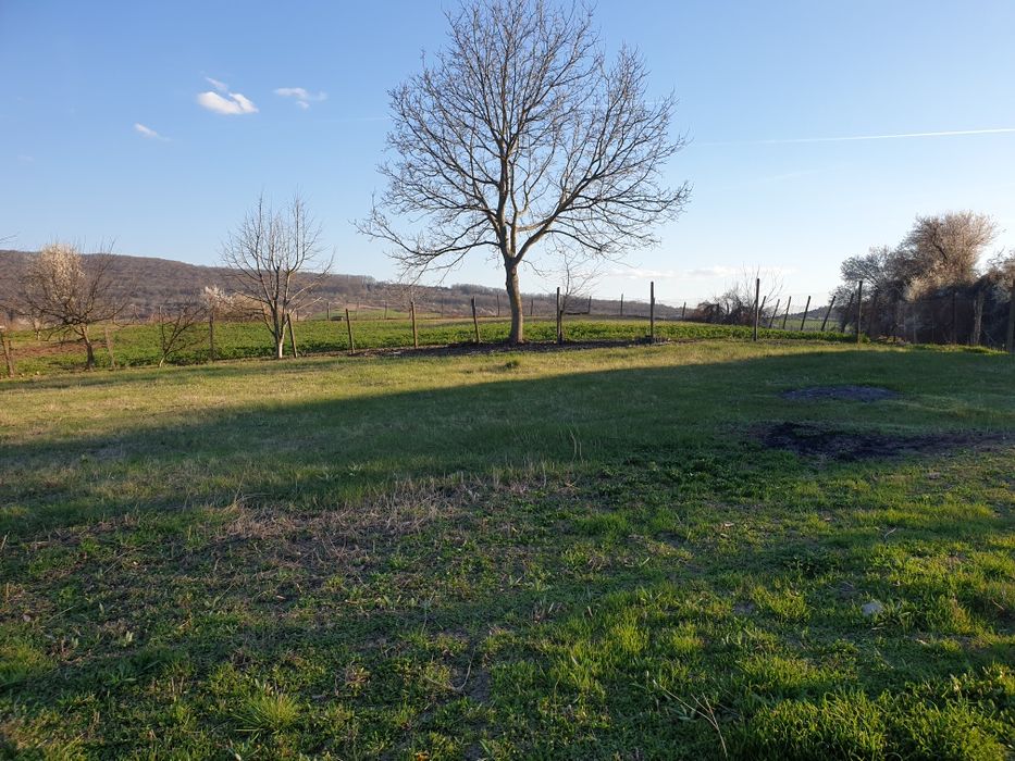 Продава се Къща в с. Голямо ново, Област Търговище - 145 кв.м за 142 €/кв.м - Снимка #3