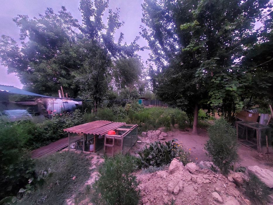 8 sotix hovli sotiladi.