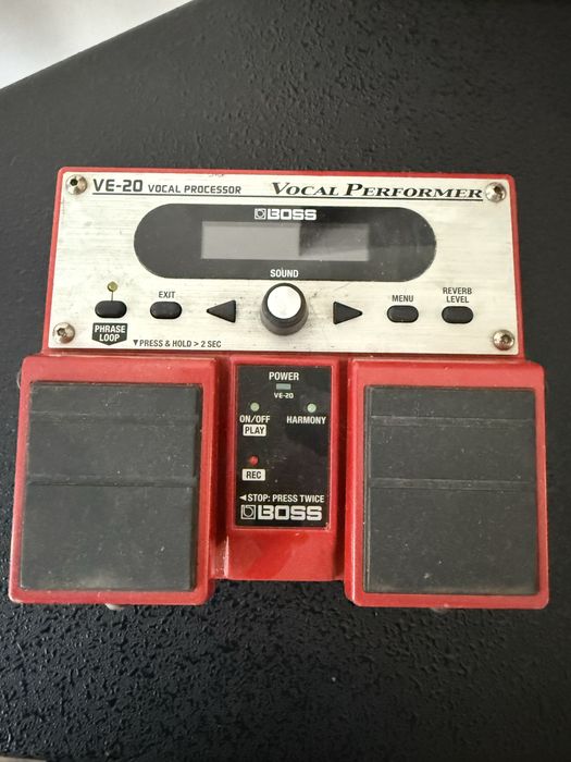 Boss vocal perfomer