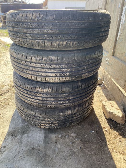шины 175/70/14 летние