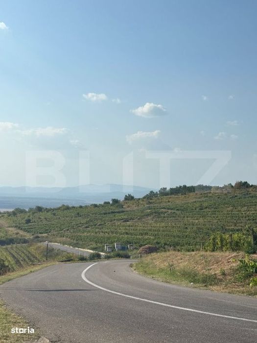 Teren intravilan suprafata 1700mp, utilitati pe teren , super privelis