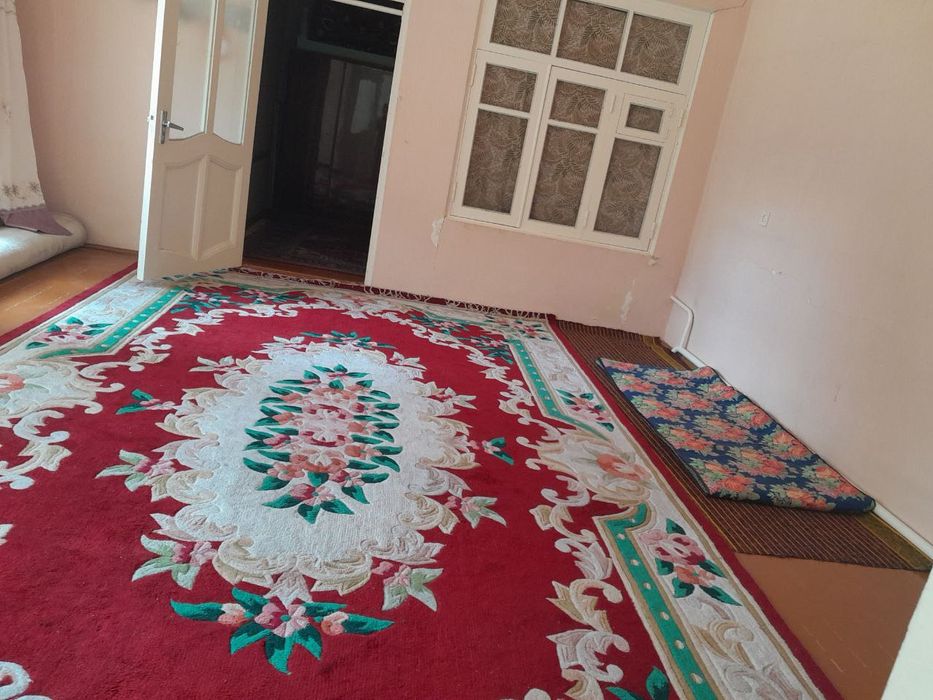 3x5 o'lchamda Xitoy gilami