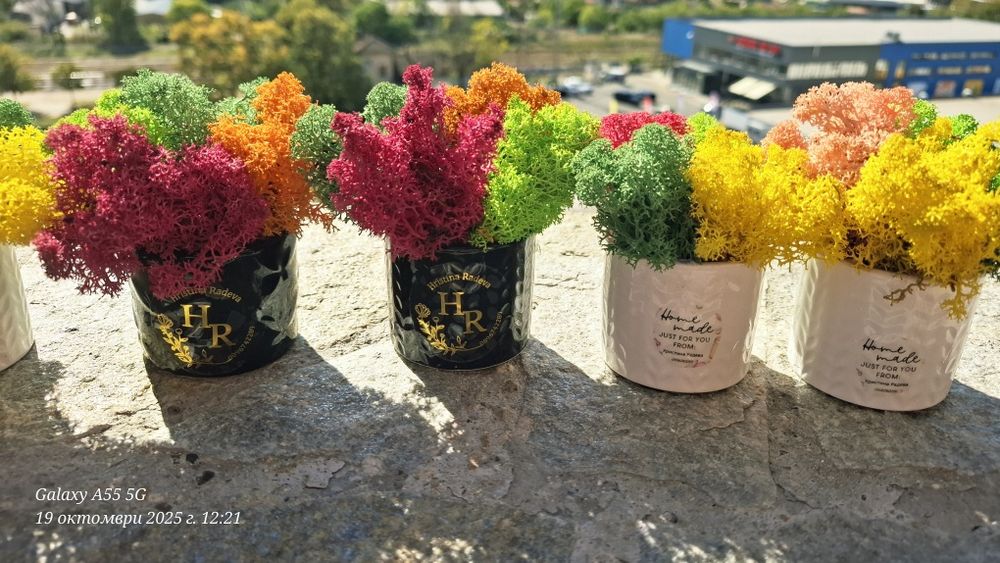 Бюджетни подаръци със скандинавски мъх