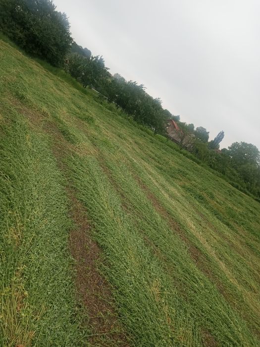 Baloți lucernă..