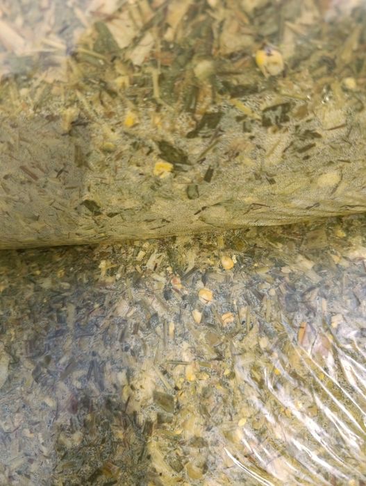 Silos donli va donsiz