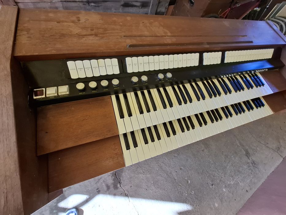 Vand Orga  Riha Allegro perfect functionala!