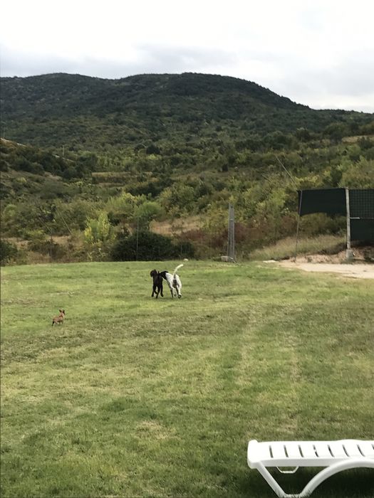 Продава се Парцел в Перущица - 2500 кв.м за 35 €/кв.м - Снимка #6