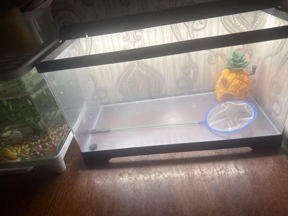 Продется аквариум   с  сачком и домиком