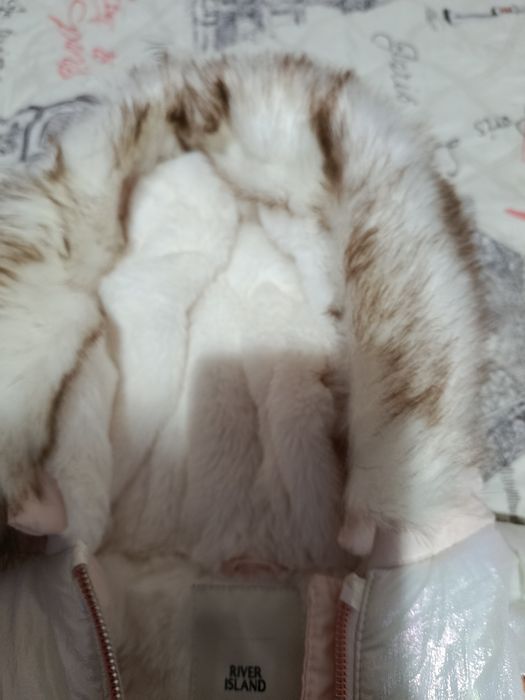 Зимен гащеризон за бебе