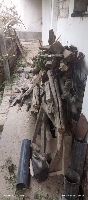 Утин бор Кунда река аралаш