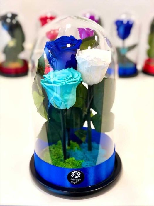 Aranjamente trandafiri criogenati