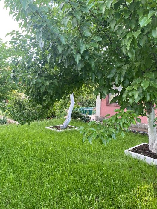 Продается дача СО Ёлочка в сторону аэропорта