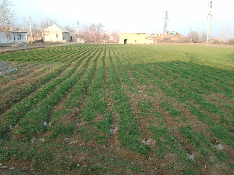 Juda yaxshi joy foydalanish uchun