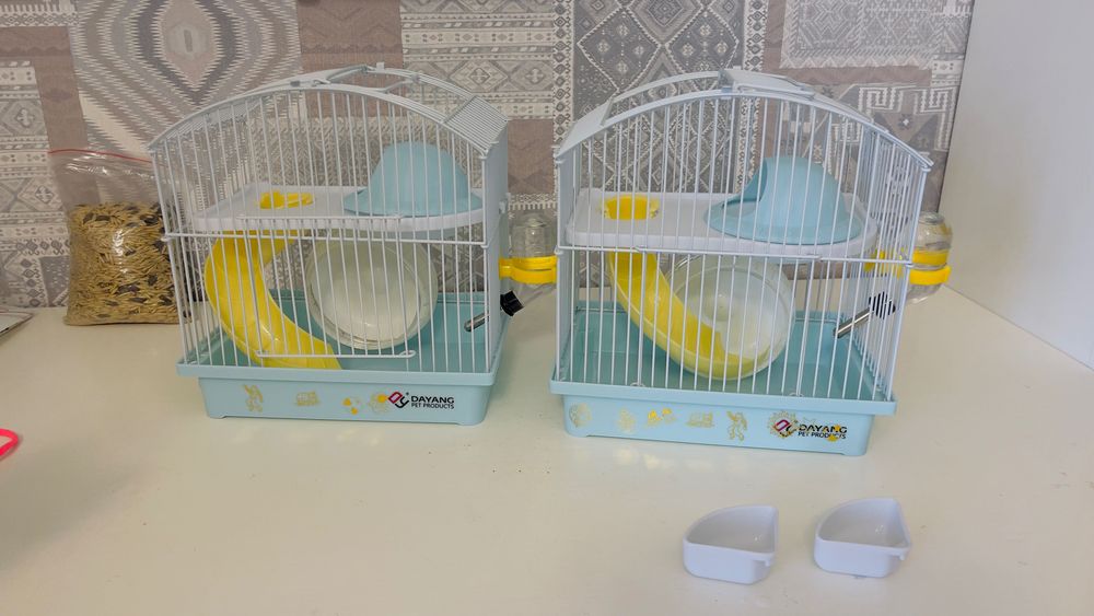 Продаю хомяков с клеткой